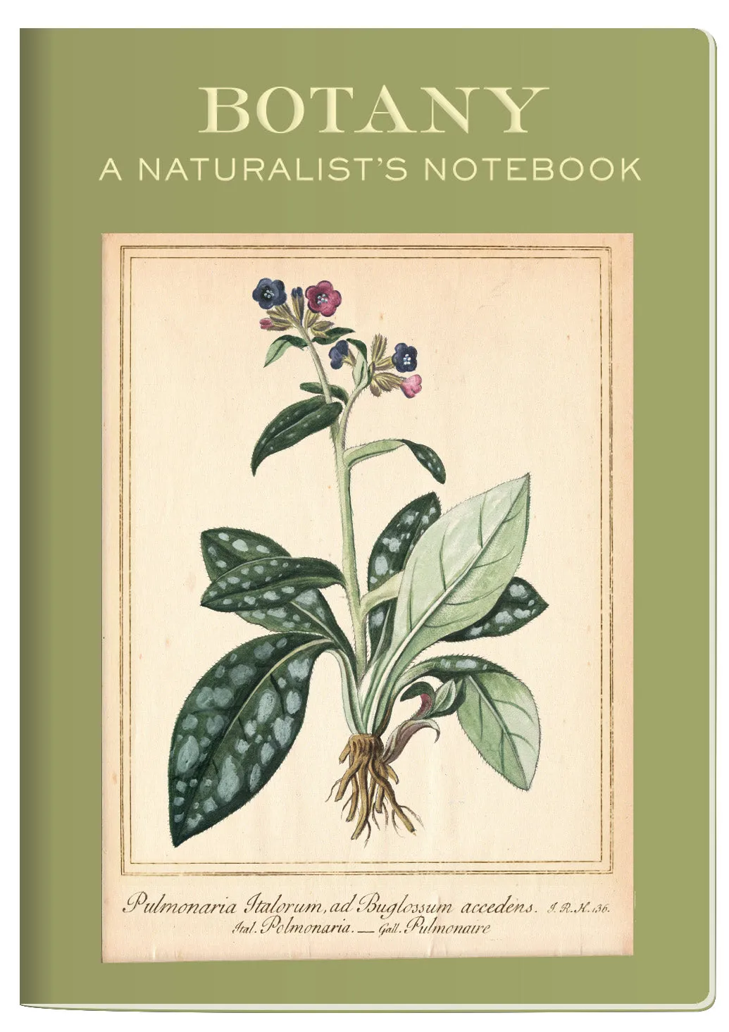 Botany Pocket Notebook